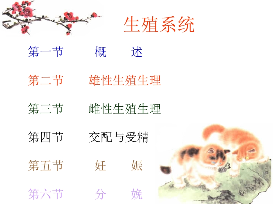 生殖系统.ppt_第2页