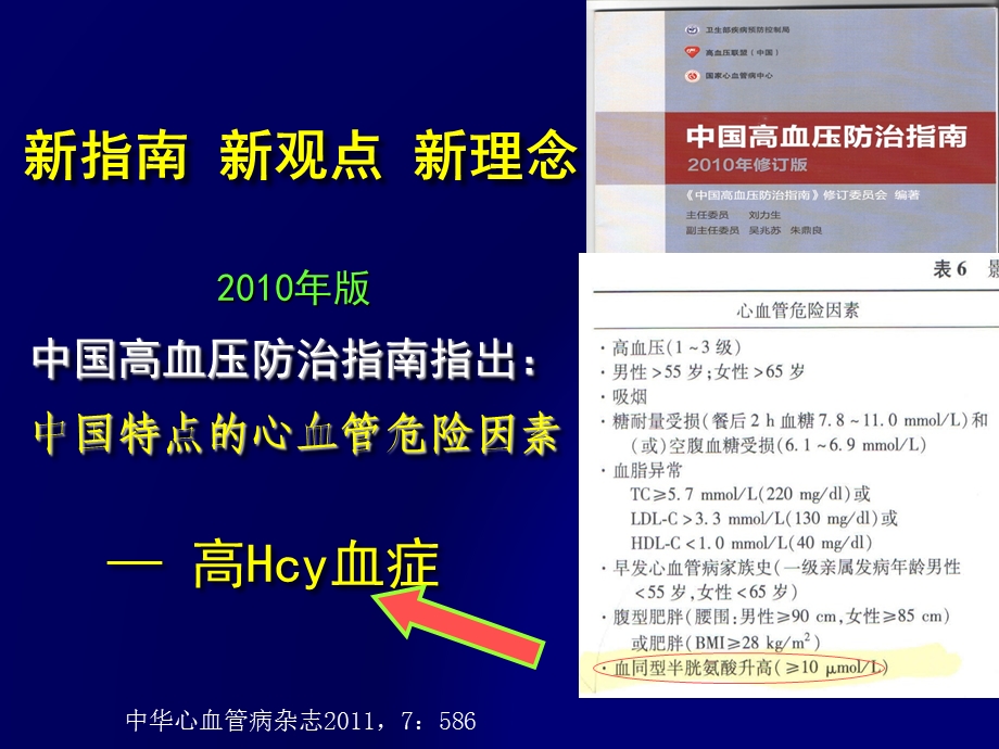 重视心脑血管高危因素高同型半胱氨酸指南版.ppt_第2页