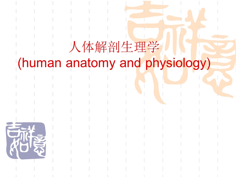 解剖生理绪论.ppt_第1页