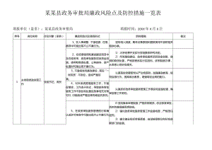 某某县政务审批局廉政风险点及防控措施一览表.docx