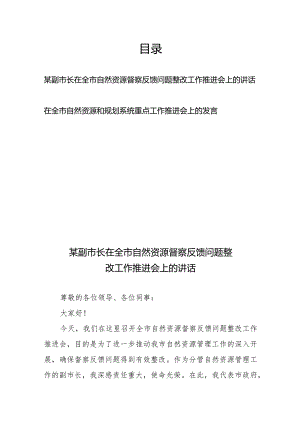 某副市长在全市自然资源督察反馈问题整改工作推进会上的讲话和在全市自然资源和规划系统重点工作推进会上的发言.docx