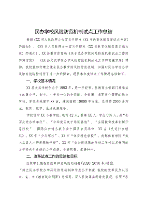 民办学校风险防范机制试点工作总结.docx