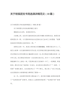 关于班级团支书竞选演讲稿范文（30篇）.docx