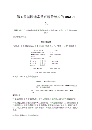 2023-2024学年人教版必修二基因通常是有遗传效应的DNA片段学案.docx