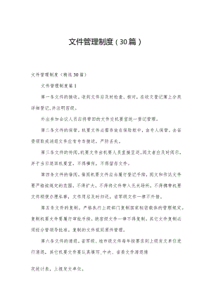 文件管理制度（30篇）.docx