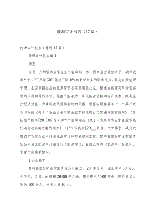 能源审计报告（17篇）.docx