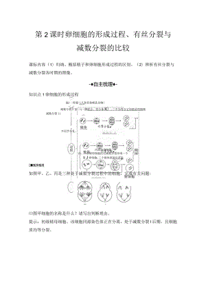 2023-2024学年人教版必修二卵细胞的形成过程、有丝分裂与减数分裂的比较学案.docx