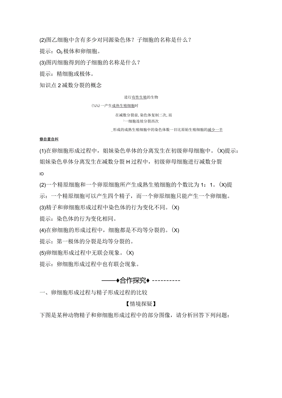 2023-2024学年人教版必修二卵细胞的形成过程、有丝分裂与减数分裂的比较学案.docx_第2页