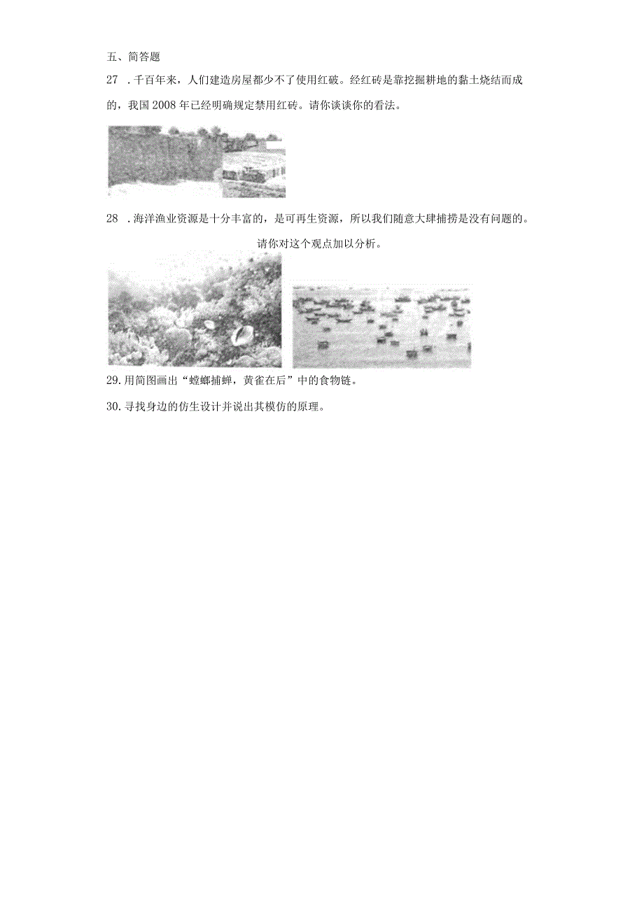 粤教版六年级下册科学期末训练题（含答案）.docx_第3页