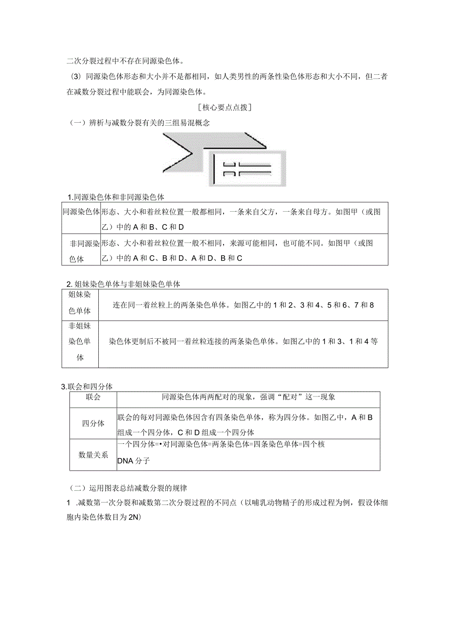 2023-2024学年苏教版必修二减数分裂产生精子或卵细胞学案.docx_第3页