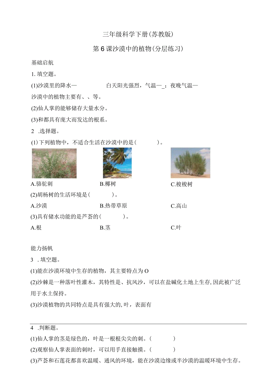 三年级科学下册（苏教版）2-6沙漠中的植物（含答案）.docx_第1页