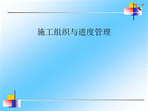 施工组织和进度控制讲座.ppt