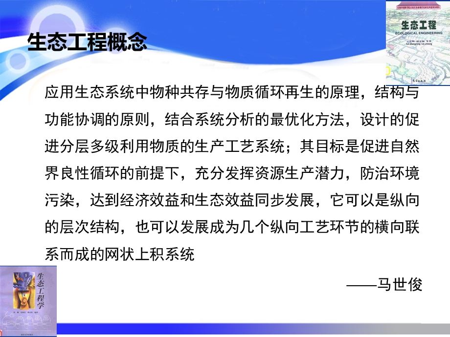 污染环境修复生态工程技术.ppt_第3页