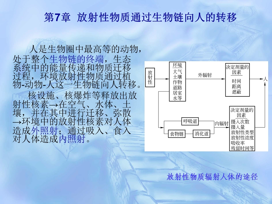 核环境监测与评价 第7章 放射性物质通过生物链向人的转移.ppt_第1页