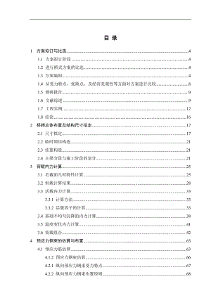 宁乡沩水大桥主桥施工图设计毕业设计.doc