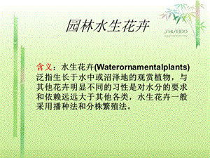 园林水生花卉教学PPT.ppt