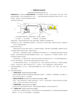 毛细管电泳及其应用知识点梳理汇总.docx