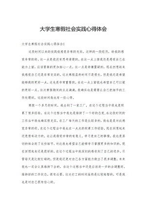 大学生寒假社会实践心得体会.docx