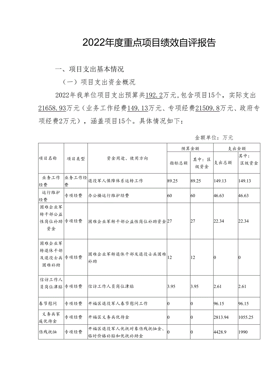 2022年度重点项目绩效自评报告.docx_第1页