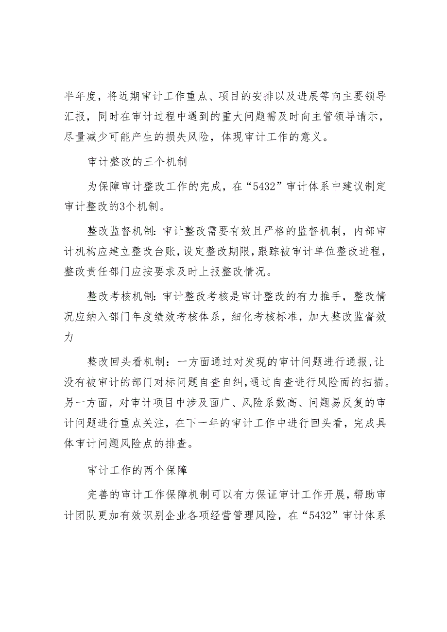 审计技巧：“5432”体系优化企业内部审计职能.docx_第3页