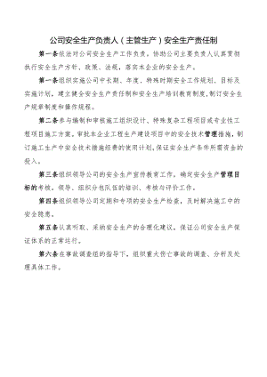 公司安全生产负责人(主管生产)安全生产责任制.docx