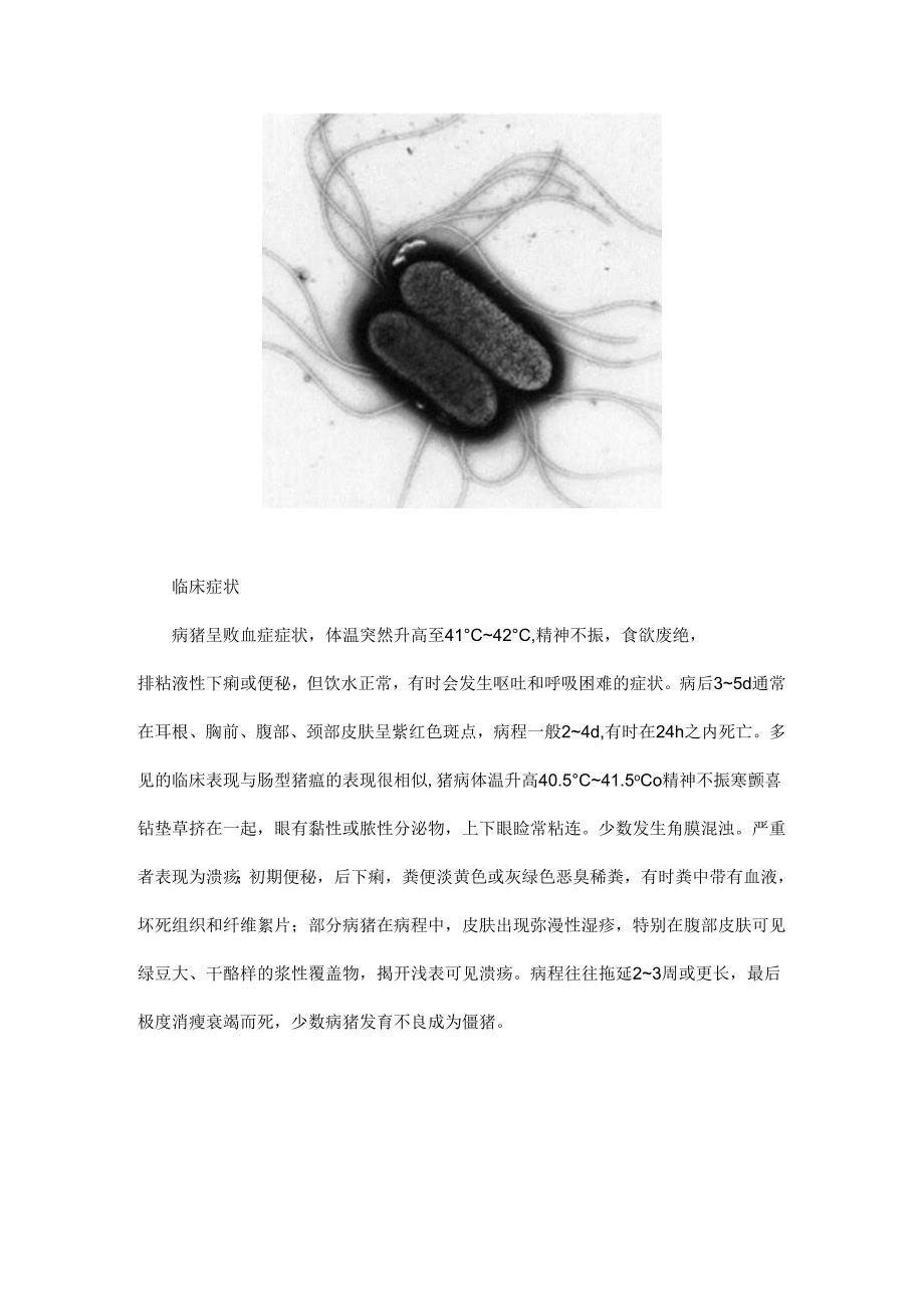 仔猪副伤寒的临床预防措施.docx_第2页