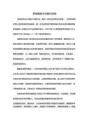 养老服务乡村振兴总结.docx