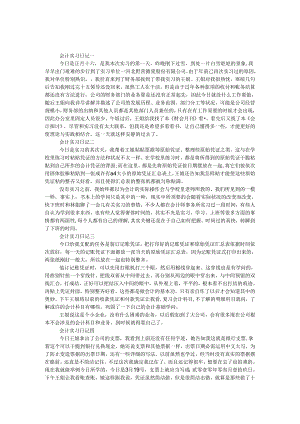 300字会计实习日记范文.docx