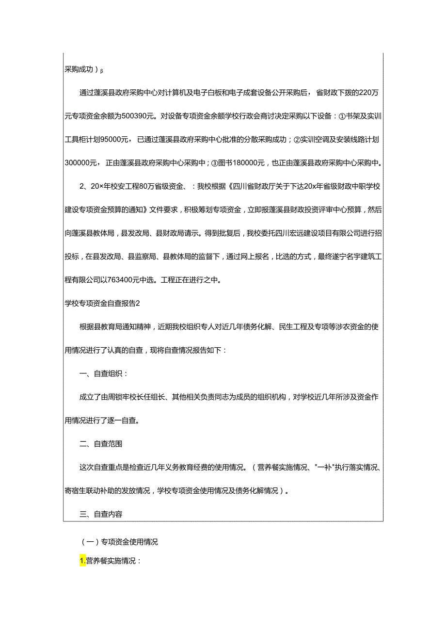 2024年学校专项资金自查报告.docx_第2页