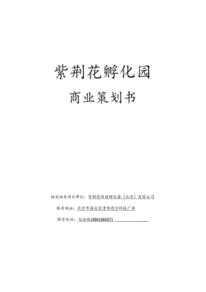 X科技孵化器企业商业策划书.docx