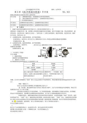 5.4 眼睛和眼镜导学案.docx