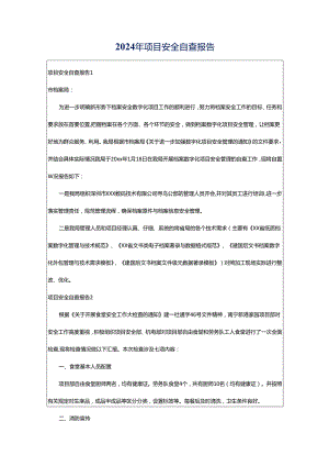 2024年项目安全自查报告.docx