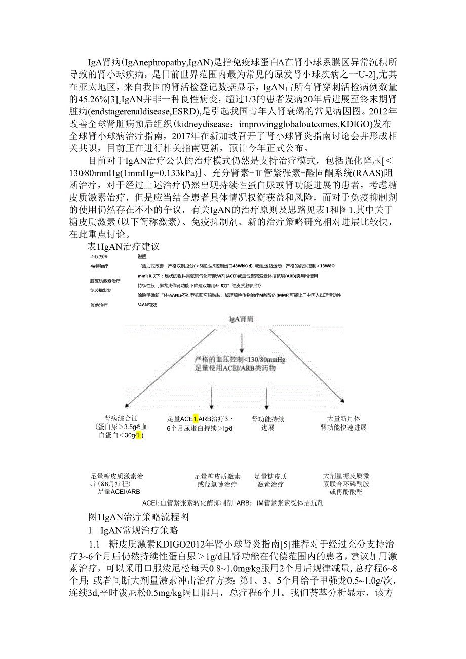 IgA肾病的治疗进展（IgA肾病的诊治进展）.docx_第1页