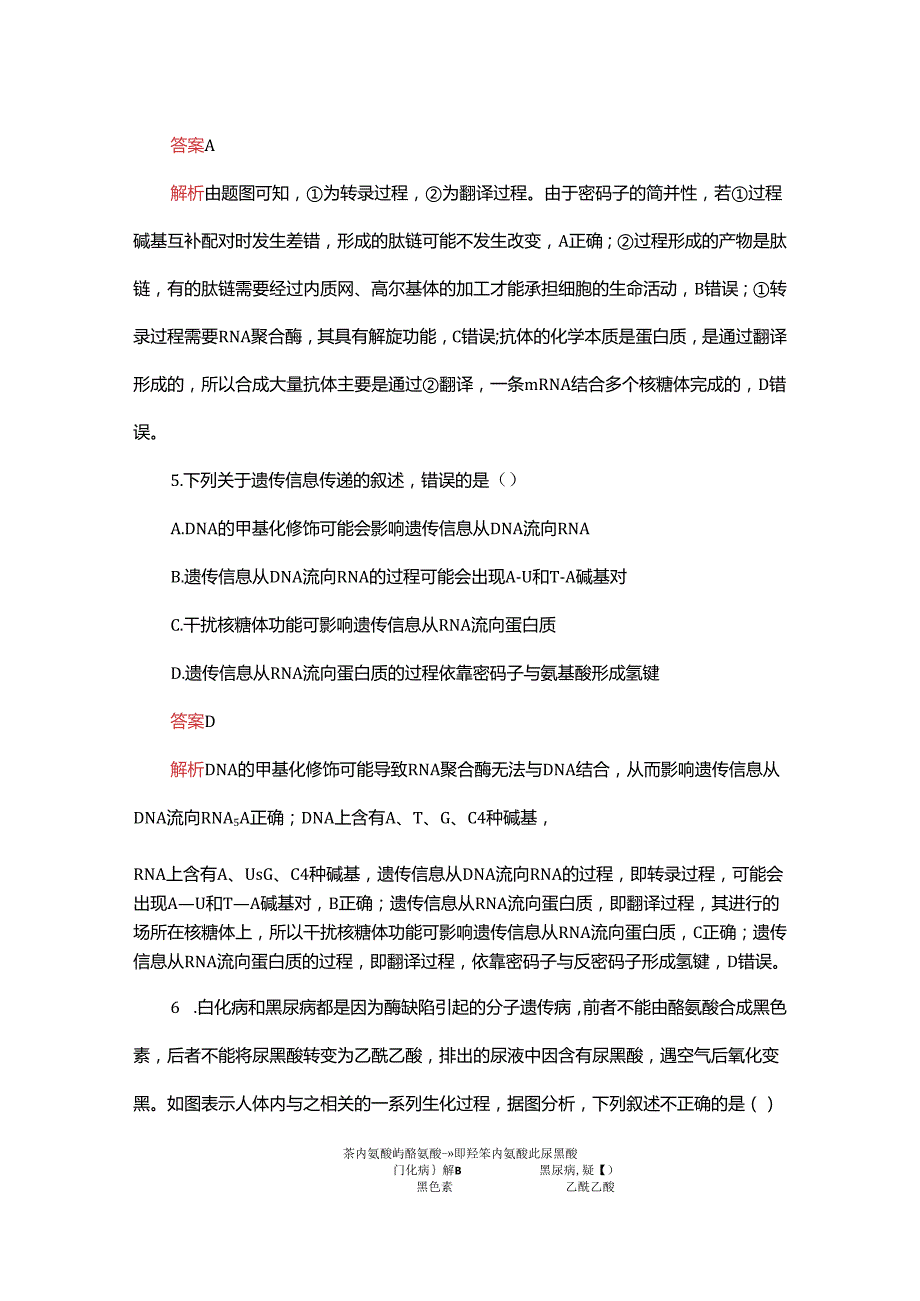 2023-2024学年 人教版 必修二 基因的表达 作业.docx_第3页