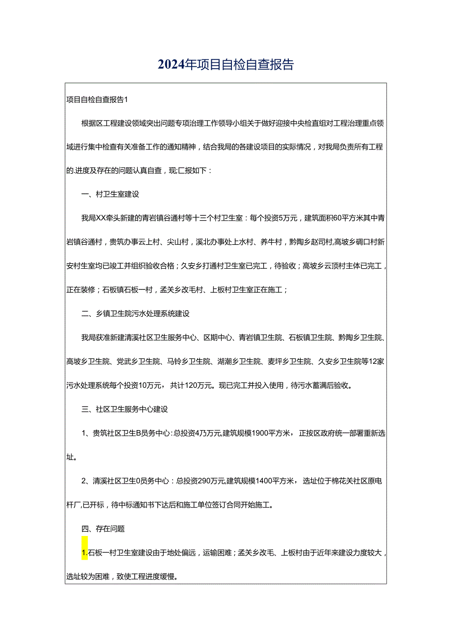 2024年项目自检自查报告.docx_第1页