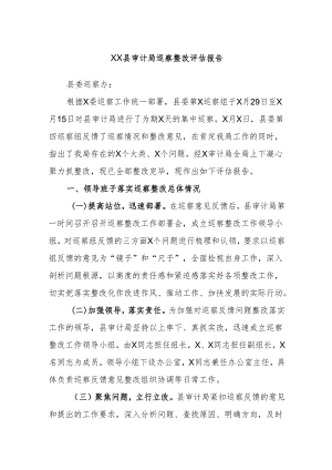 XX县审计局巡察整改评估报告.docx