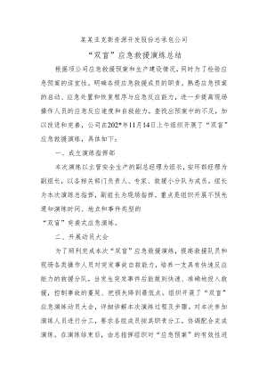 “双盲”应急救援演练总结.docx