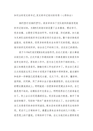 如何当好党支部书记,党支部书记培训班有感（心得体会）.docx