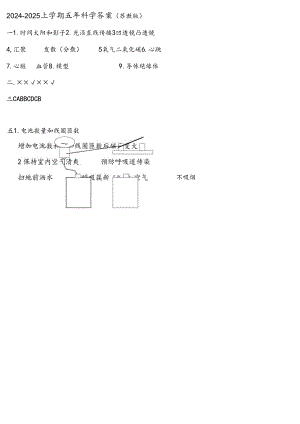 五年级上册科学期末试题轻巧夺冠2024辽宁省台安县.docx