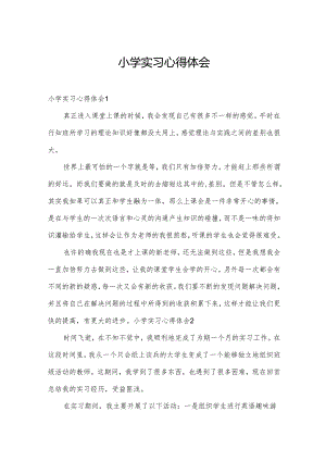 小学实习心得体会.docx