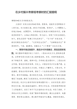 在乡村振兴考察组考察时的汇报提纲.docx