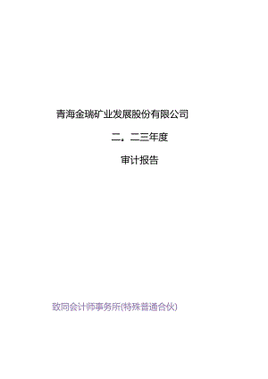 青海金瑞矿业发展股份有限公司2023年度财务报表审计报告.docx