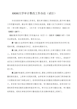 大学审计整改工作办法（试行）.docx