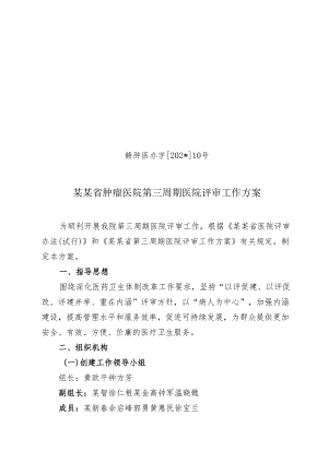 第三周期医院评审工作方案（等级医院复审领导小组）.docx