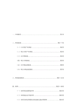 宏鑫科技：公司财务报表及审阅报告（2023年度）.docx