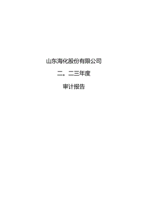 山东海化：2023年年度审计报告.docx