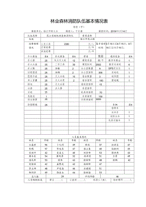 （甲）临江市花山省级机动森林消防队.docx