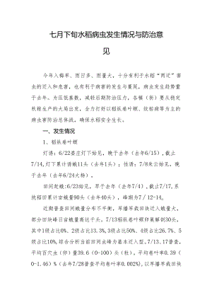 七月下旬水稻病虫发生情况与防治意见.docx