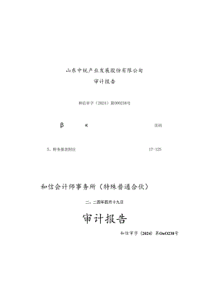 中锐股份：山东中锐产业发展股份有限公司2023年年度审计报告.docx