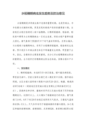 水稻穗期病虫发生趋势及防治意见.docx